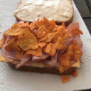 fuursammich avatar