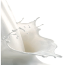 fuyunomilk-blog avatar