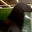 fuzzballwithgooglyeyesonit avatar