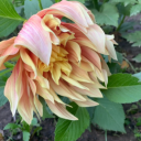 fuzzyeagleglitter avatar