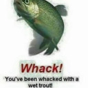 fuzzyfishbones avatar