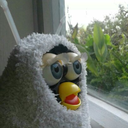 fuzzyfubby avatar