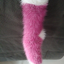 fuzzylegwarmers avatar