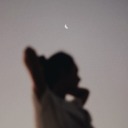 fuzzysaladtheorist avatar