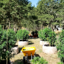 fwbinsouthernoregon avatar