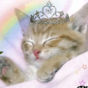 fxckininterlude avatar