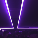 fxcklxveworld avatar