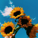 fxcky0urfaithh avatar