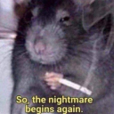 fxckyxxrsxlf666 avatar