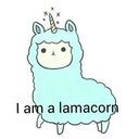 fxxkboyzgetmoney0994 avatar