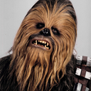 fychewbacca-blog avatar