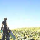 fyeah-clerith avatar