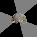 fyeahenglishmajorarmadillo avatar