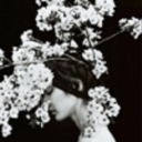 fyeahgemmadoyle avatar