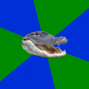 fyeahgeographyalligator avatar