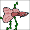 fyeahheyrosetta avatar