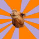 fyeahjournalismmajorcamel-blog avatar