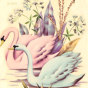 fyeahlarmekei avatar