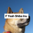 fyeahshibainu avatar