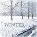 fyeahwintertime-blog avatar