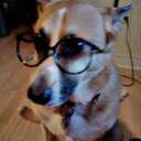 fyimango-blog avatar