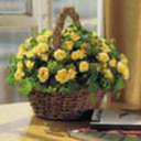 g-moneyrosenbucks avatar