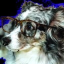 g4s-stati0n-sn4x avatar