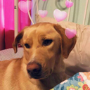 gabby-gurl123 avatar