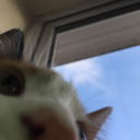 gabbys-palace avatar