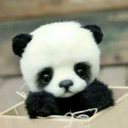 gabichanwrites avatar