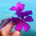 gabrielasicchierolli avatar