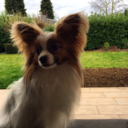 gabriellamoonen avatar