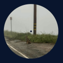 gabrielleisalanastan avatar