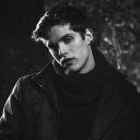 gabrielx-wolf avatar