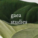 gaeastudies avatar