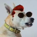 gahellhimself-blog avatar