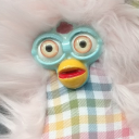 gaily-daily-musings avatar