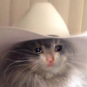 galactic-cowboy1 avatar