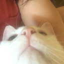 galactic-salad avatar