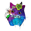 galacticcats-blog1 avatar