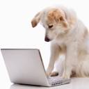 galacticfrogs avatar