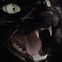 galacticgremlin avatar