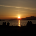 galactocerebroside avatar