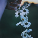 galatea-encore avatar