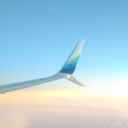 galaxianmothman avatar