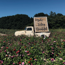 galaxiesin-gray avatar