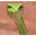 galaxiesinhermind avatar