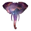 galaxymysteryelephant avatar