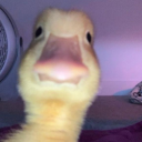 galaxypizzababe avatar