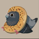 gallifreyangecko avatar